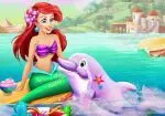 Ariel maghugas ng mga lumba-lumba